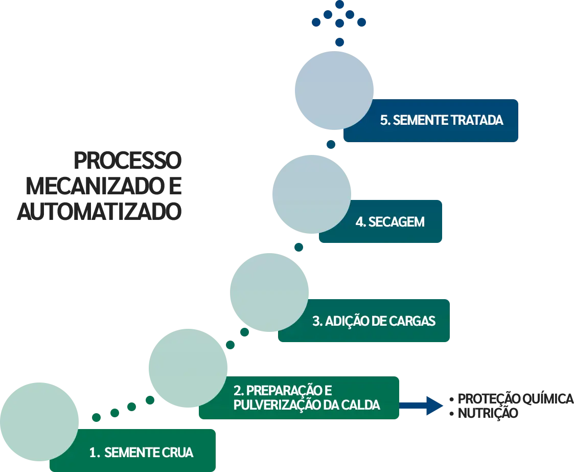 Etapas de aplicação do seed coating no tratamento industrial de sementes