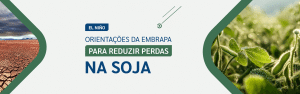 Banner sobre El Niño e soja: proteção do estande desde a semente com tratadora de sementes LS do Brasil